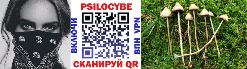 Псилоцибиновые грибы мицелий  сколько стоит  Орехово-Зуево 