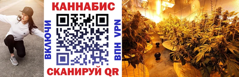 Шишки марихуана тримм  даркнет сайт  Орехово-Зуево 
